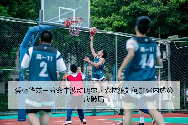 爱德华兹三分命中波动明显时森林狼如何加强内线策应破局